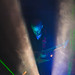 Shawn Williams Photo 47