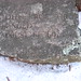 Martha Burroughs Photo 23