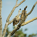 Jo Burrows Photo 25