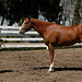 Kathy Bartlett Photo 39