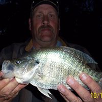Rick Mull Photo 2