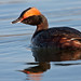 David Grebe Photo 33