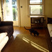 Bob Petrie Photo 31