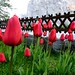 Vivek Singh Photo 44