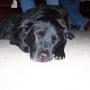 Stephanie Bosley Photo 16
