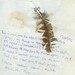 Amy Wisdom Photo 27