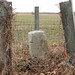 Ralph Mower Photo 12