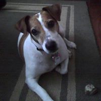 Paula Weldon Photo 2