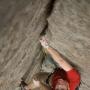 David Statler Photo 15