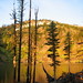 Donald Lake Photo 31