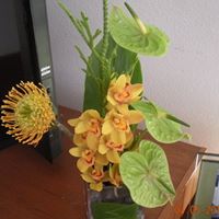 Linda Joy Photo 3