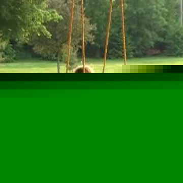 Elizabeth Beebe Photo 14