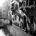 Anthony Venezia Photo 25