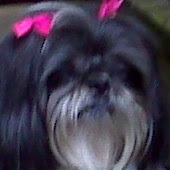 Sondra Blaylock Photo 1