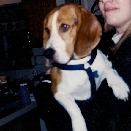 Rebecca Wolfenbarger Photo 7