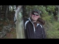 Jack Lake Photo 20