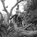 Stanley Silverstein Photo 16
