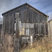 Jane Nesbitt Photo 30