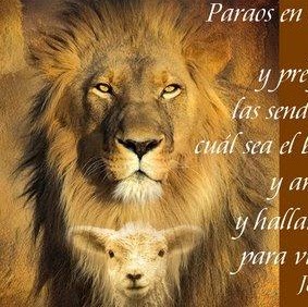 Abel Quispe Photo 16