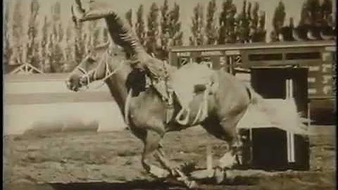 Connie Griffith Photo 31