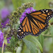 Daniel Butters Photo 29
