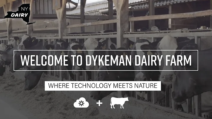 John Dykeman Photo 19