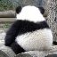 Hua Ling Photo 10