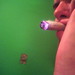 Terry Weed Photo 33