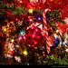 Noel Boothe Photo 12