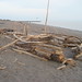 Bruce Fort Photo 20