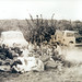 Janie Townsend Photo 28