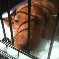 Missy May Photo 7