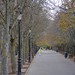 Prudencio Campos Photo 23