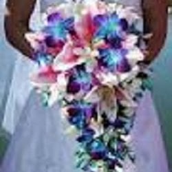 Patricia Kidd Photo 13