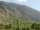 Afshan Ali Photo 38