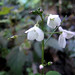 Dawn Crowder Photo 28