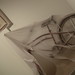 Shawn Landis Photo 34