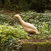 Robert Holz Photo 34