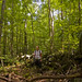 Scott Stack Photo 34