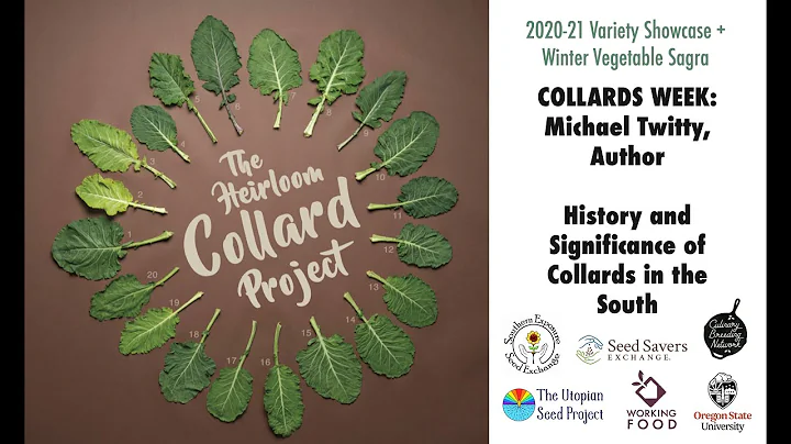 Michael Collard Photo 34