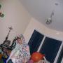 Martin Sewell Photo 19