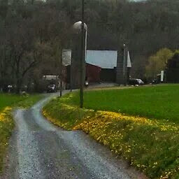 Aaron Lapp Photo 7