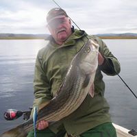 Scott Tarrant Photo 2