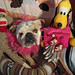 Randy Simons Photo 30