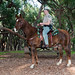 Peter Jeffrey Photo 45
