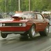 Mark Niederberger Photo 10