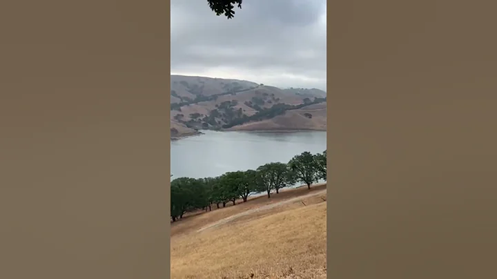 Dale Livermore Photo 5