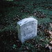 Robert Stricker Photo 36