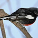 Christopher Dimas Photo 21