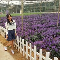 Ying Lee Photo 7